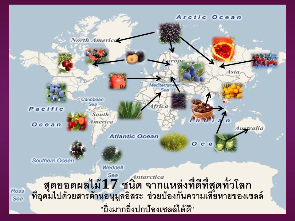 Slide32