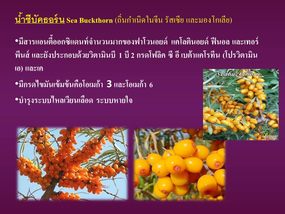 Slide49